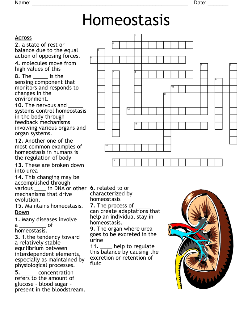 100 Most Common ACT SAT Vocabulary Words Lesson 8 Crossword WordMint