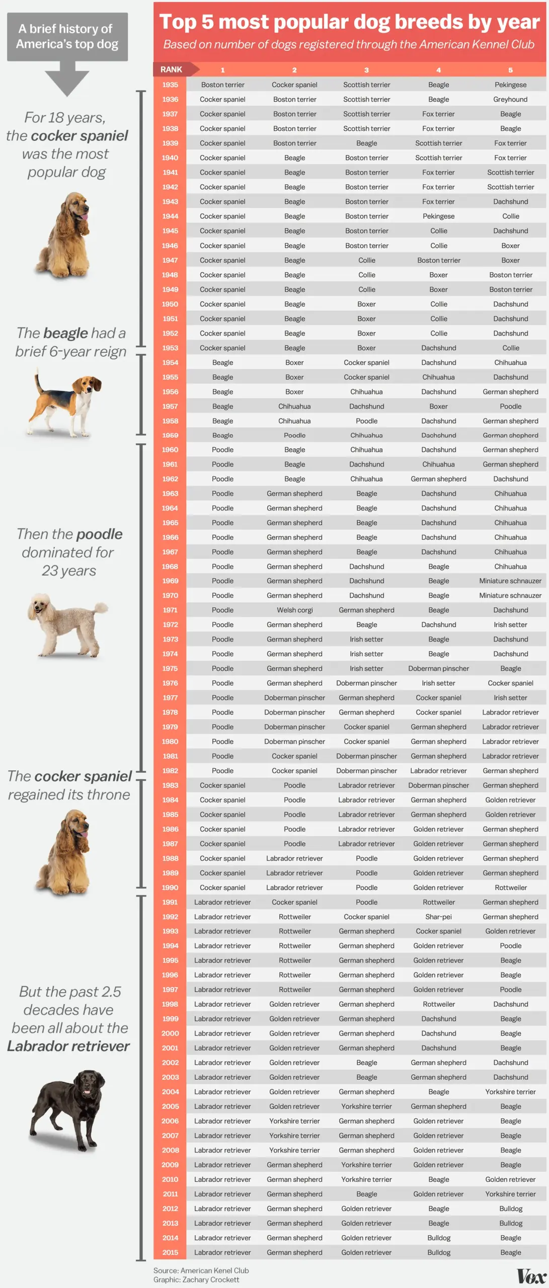 America s Top Dog How The Most Popular Breeds Have Changed Over Time Vox
