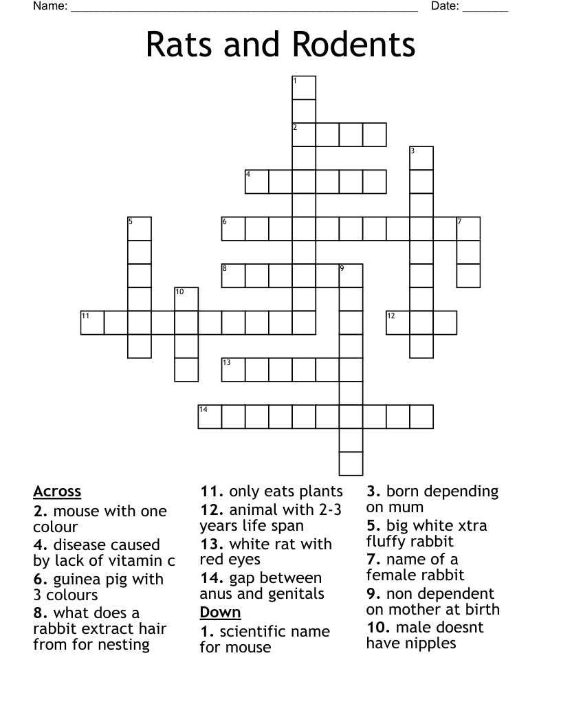 Animals General Crosswords Word Searches Bingo Cards WordMint