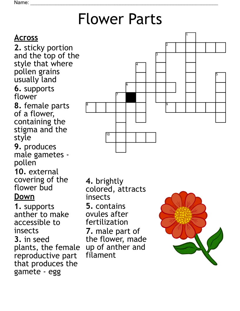 Animaux D eau Douce Crossword WordMint