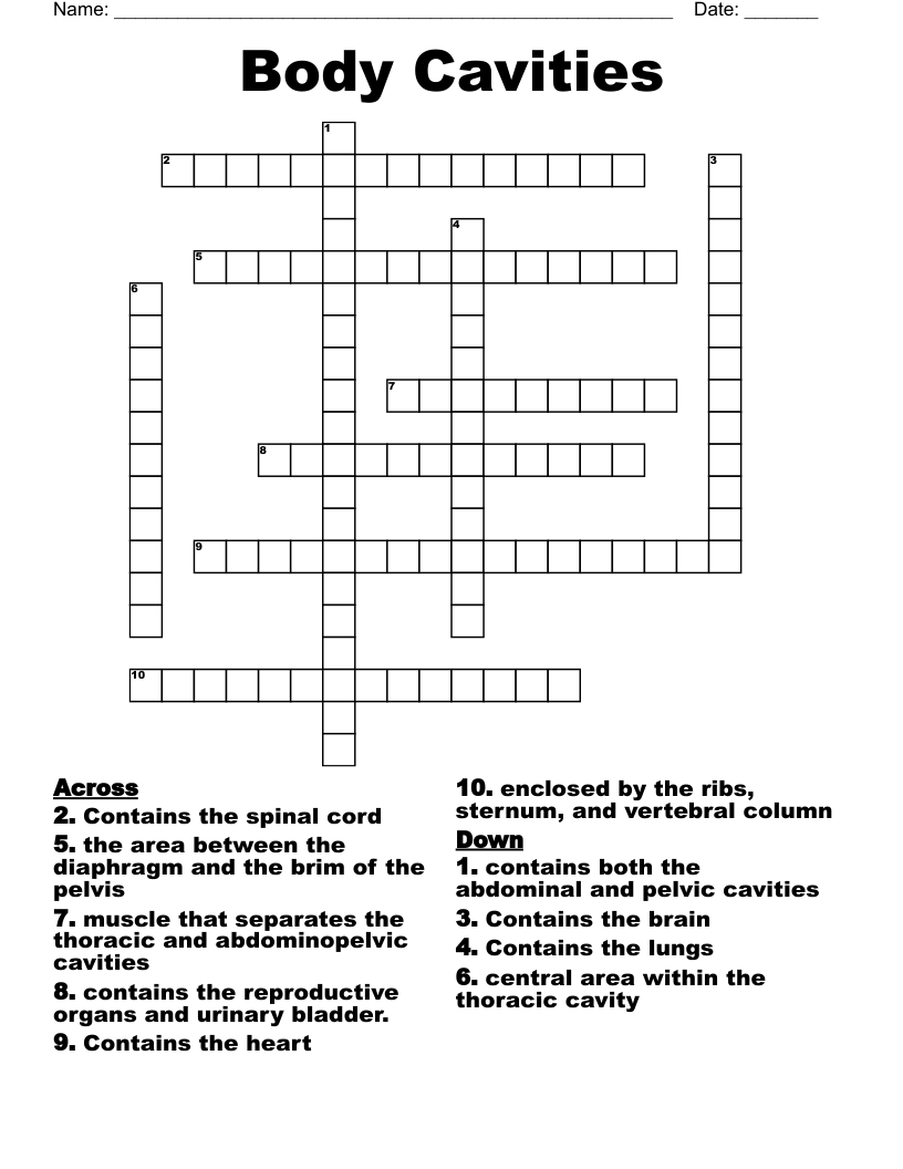 Body Cavities Crossword WordMint
