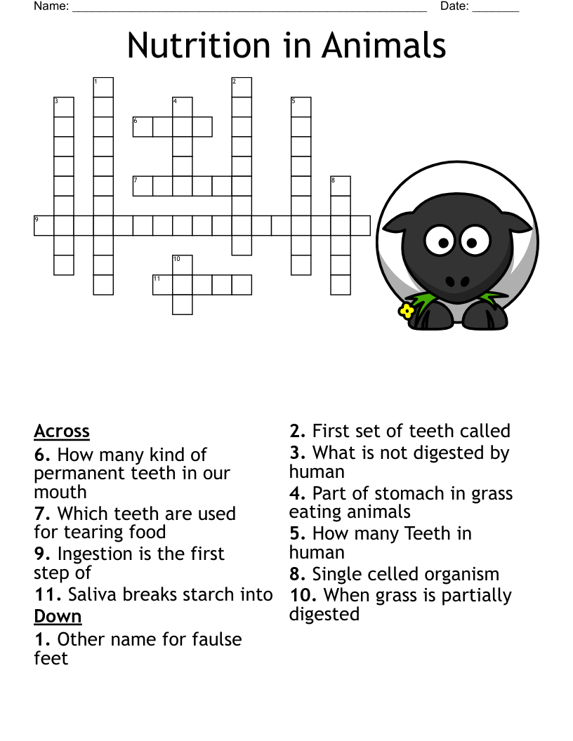 Burrowing Animals Crossword WordMint