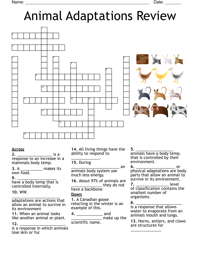 Burrowing Animals Crossword WordMint