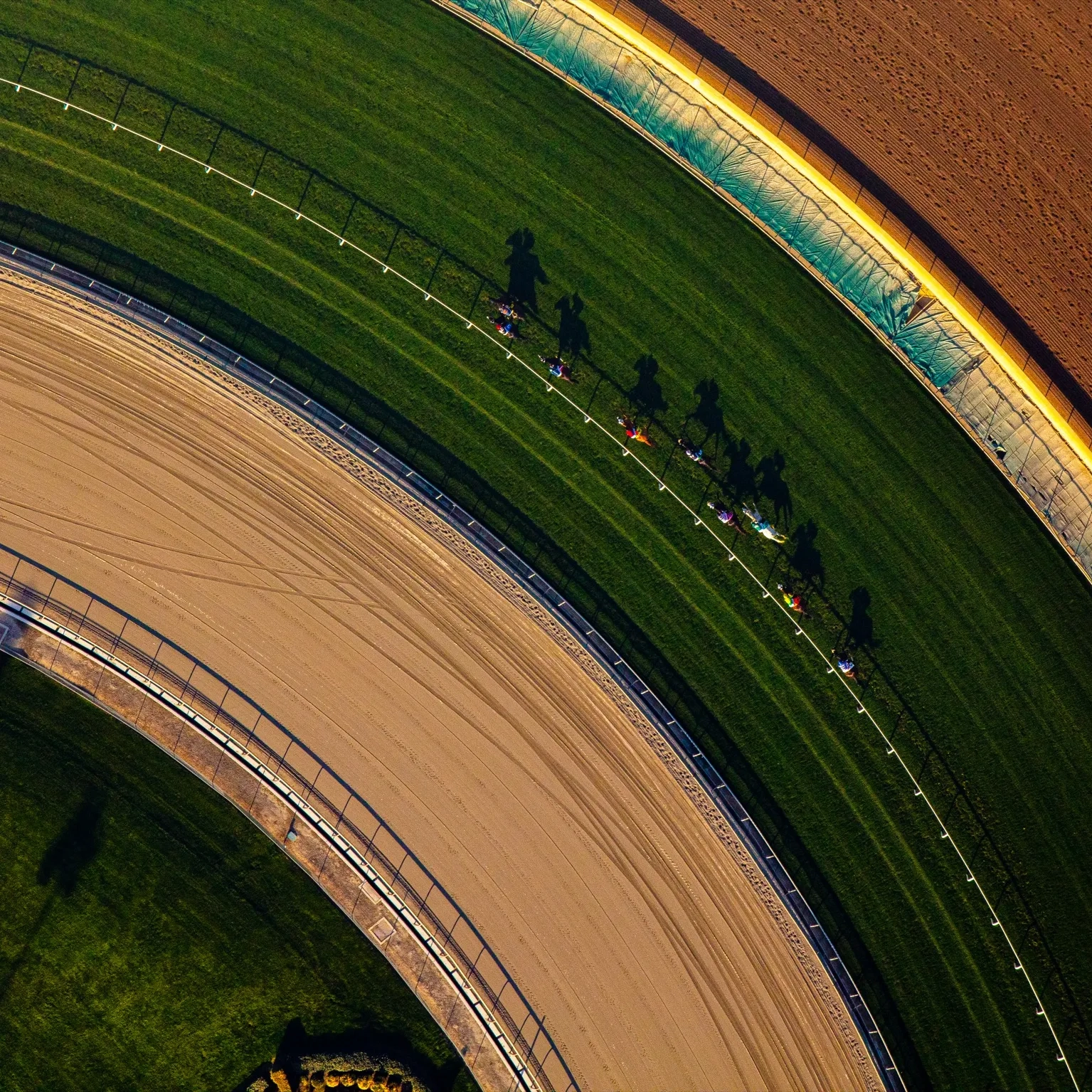 Can Horse Racing Survive The New Yorker