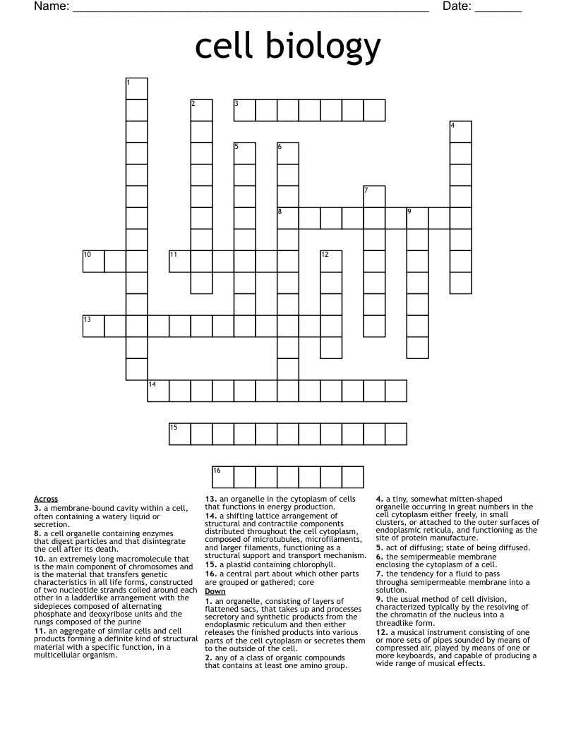 Cell Biology Crossword WordMint