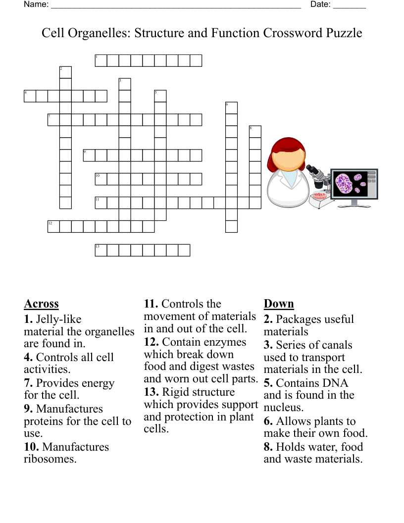 Cell Biology Crossword WordMint