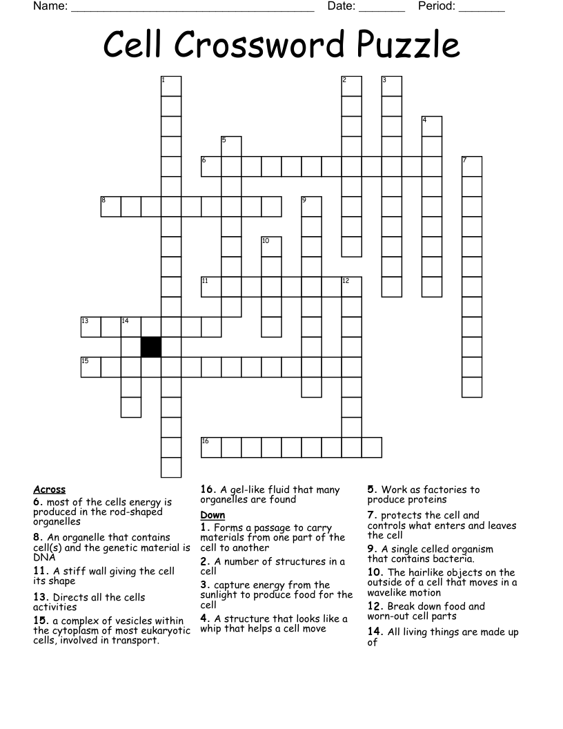 Cell Crossword Puzzle WordMint