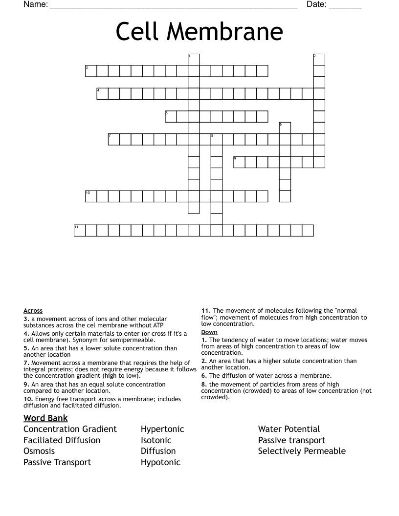 Cell Membrane Crossword WordMint