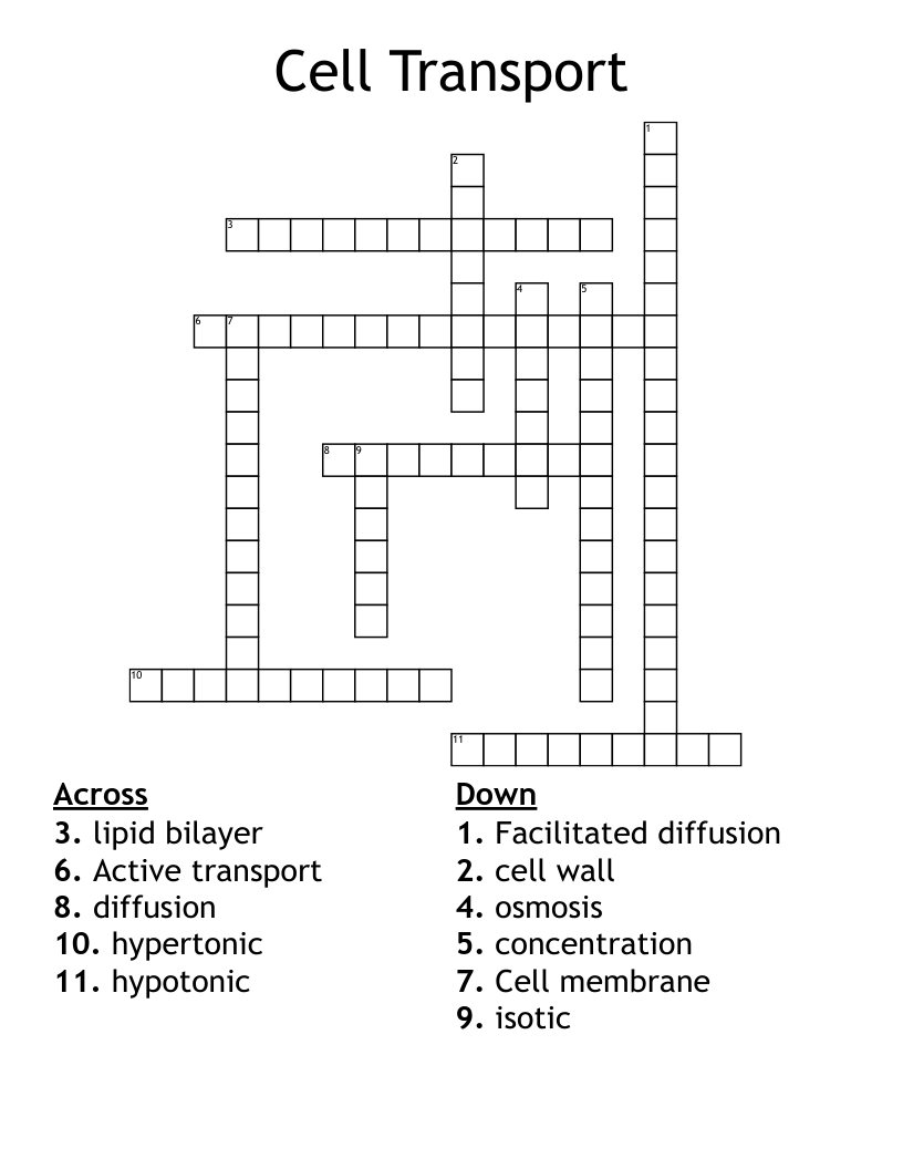 Cell Transport Crossword WordMint