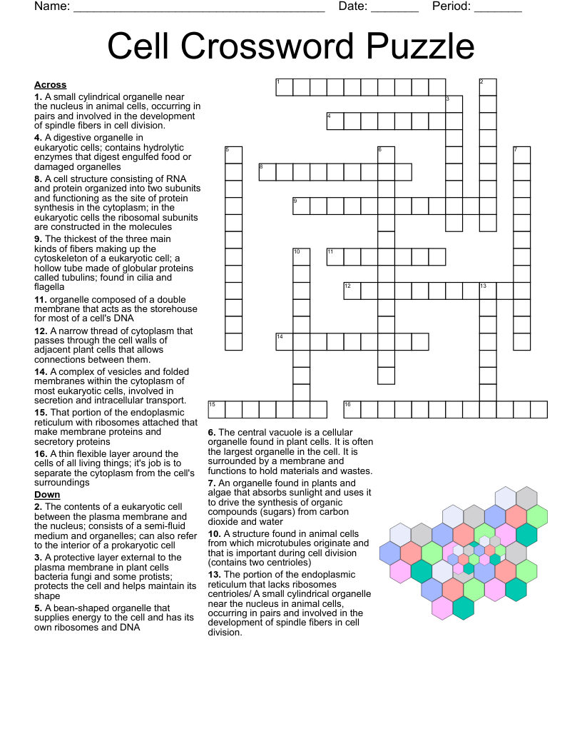 Cells Crossword Puzzle WordMint Cells Crossword Puzzle WordMint