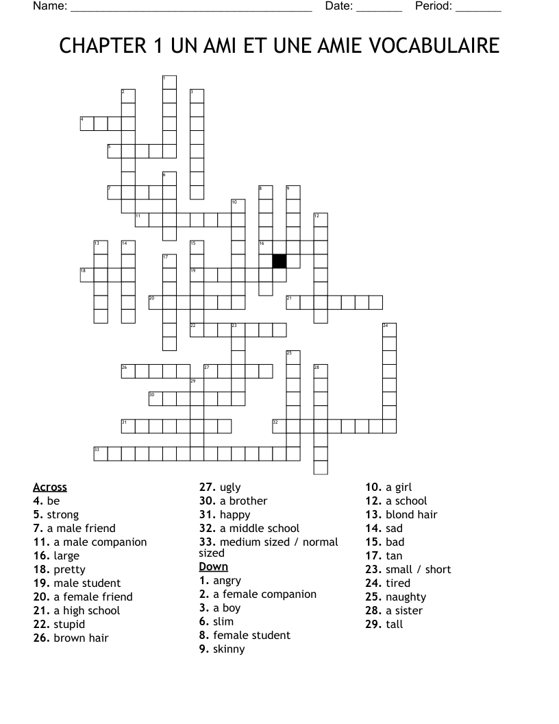 CHAPTER 1 UN AMI ET UNE AMIE VOCABULAIRE Crossword WordMint