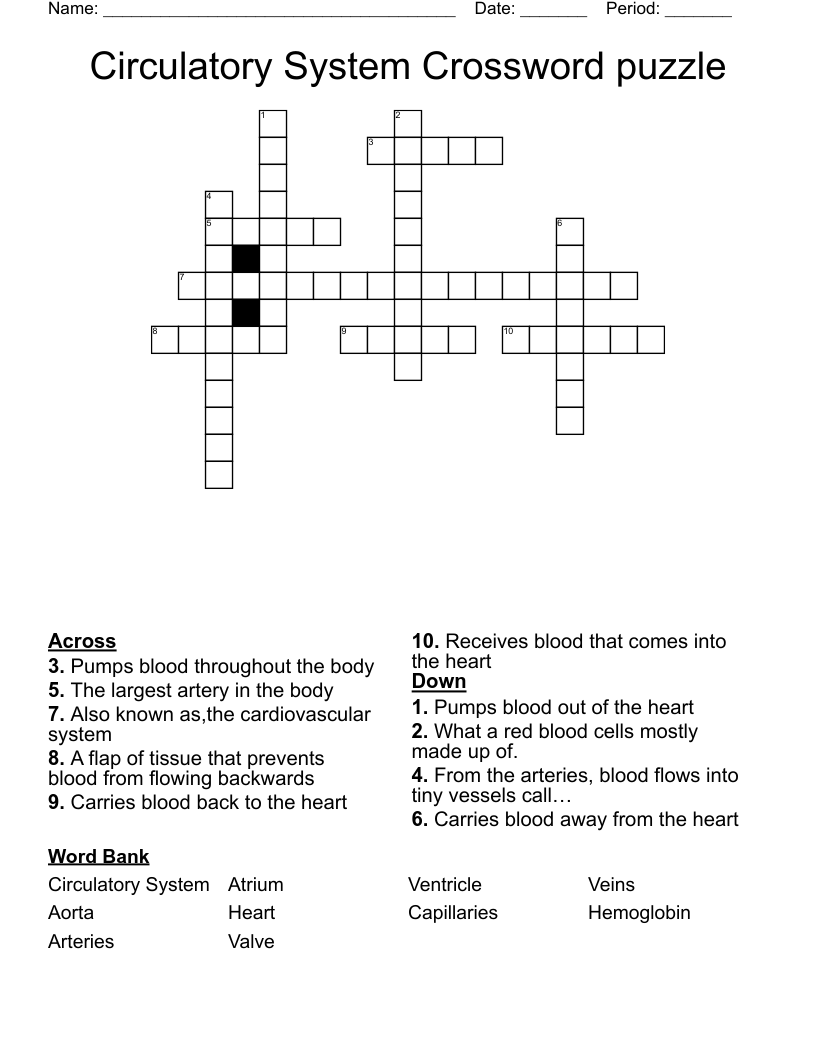 Circulatory System Crossword Puzzle WordMint