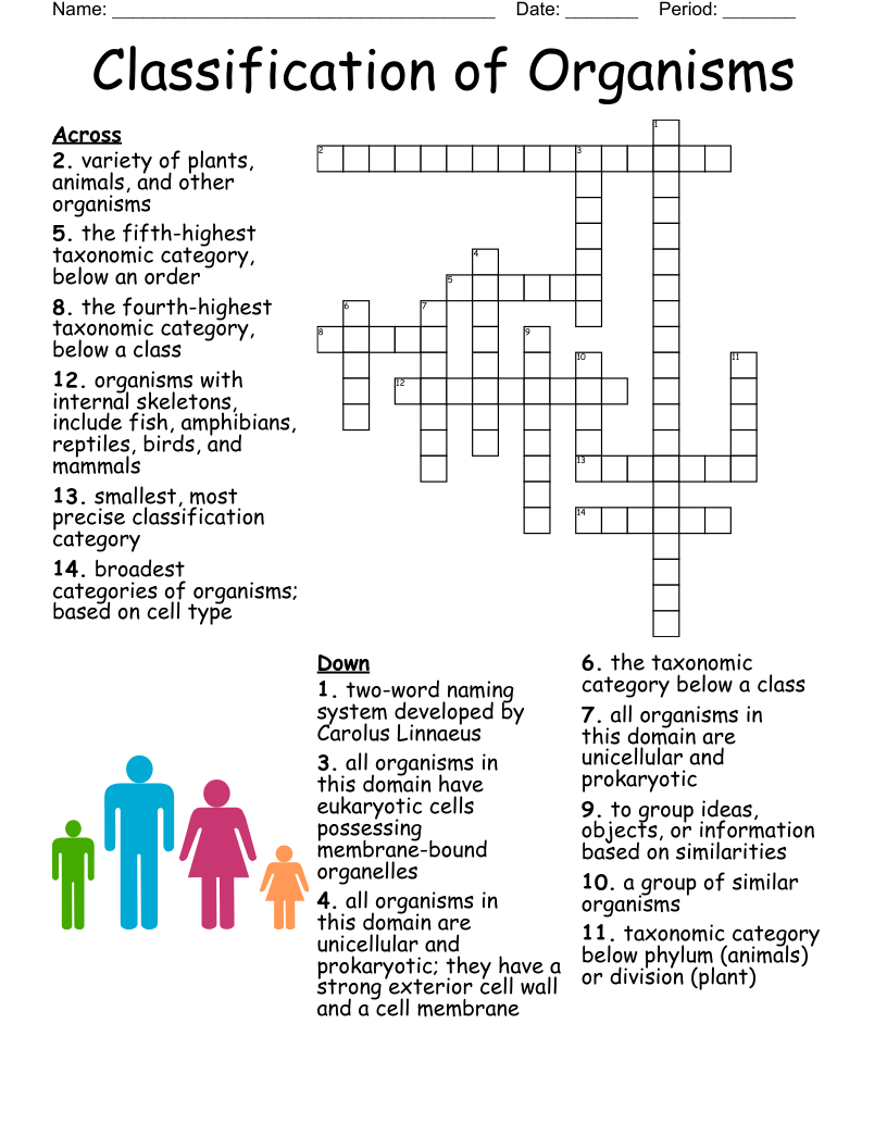 Classification Of Organisms Crossword WordMint Classification Of Organisms Crossword WordMint