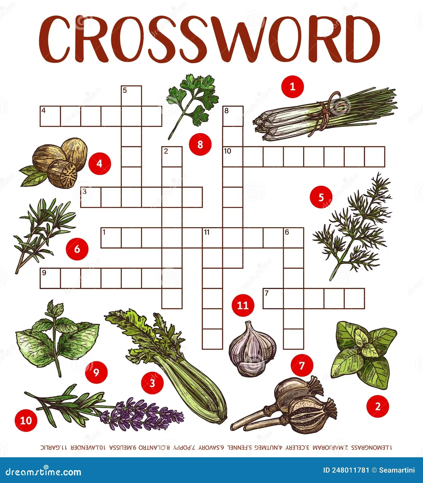 Crossword Find A Word Game With Sketch Herbs Stock Vector Illustration Of Activity Search 248011781