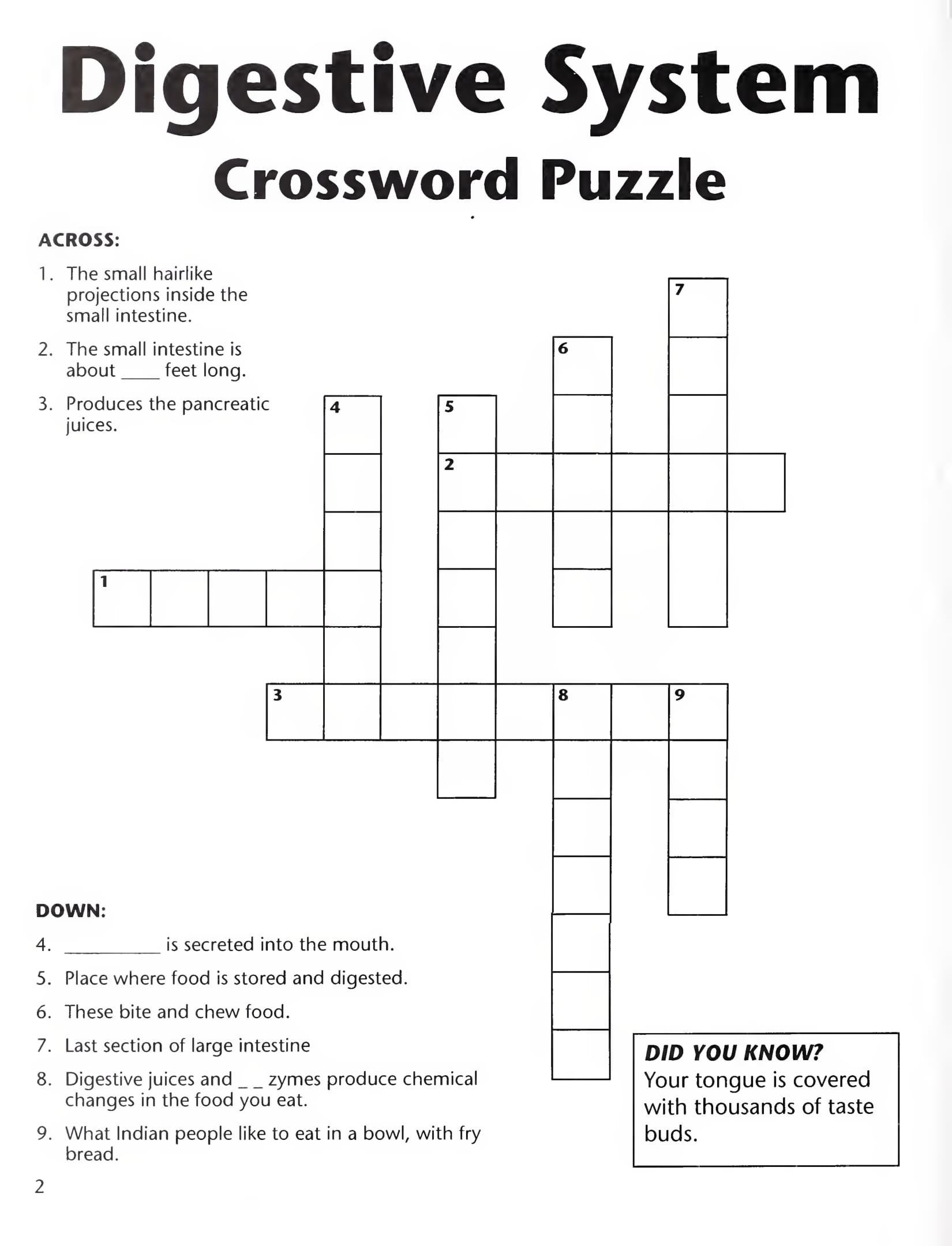 Digestive System Crossword Puzzle Free Printable Worksheets