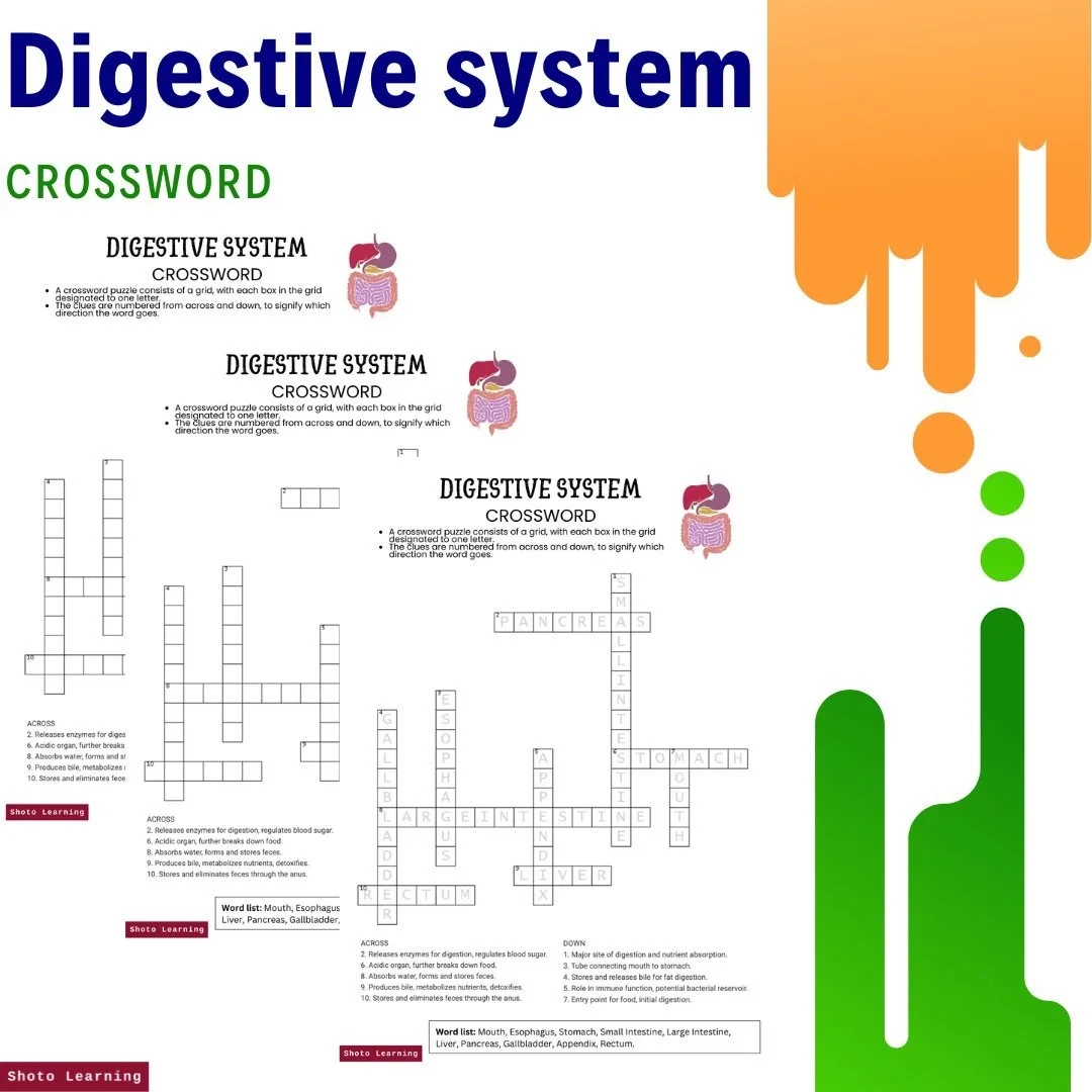 Digestive System Crossword Puzzle Fun Learning Worksheets Digestive System Crossword Puzzle Fun Learning Worksheets