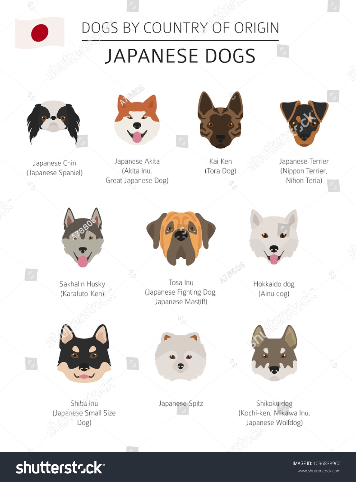 Dogs By Country Origin Japanese Dog Stock Vector Royalty Free 1096838960 Shutterstock
