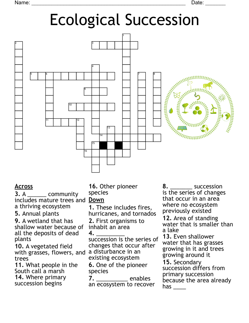 Ecological Succession Crossword WordMint Ecological Succession Crossword WordMint