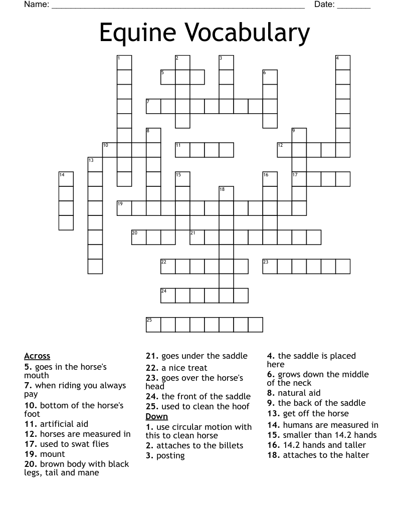 Equine Vocabulary Crossword WordMint