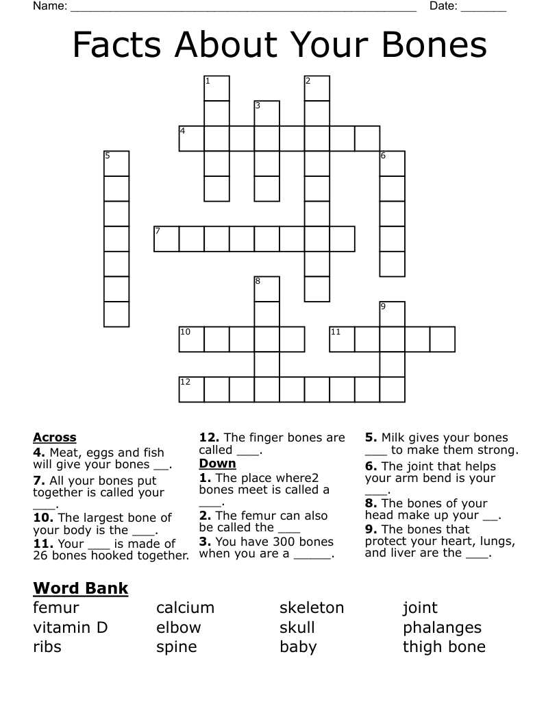 Facts About Your Bones Crossword WordMint Facts About Your Bones Crossword WordMint
