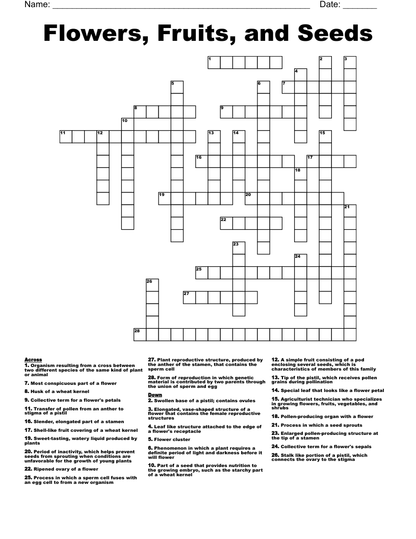 Flowers Fruits And Seeds Crossword WordMint
