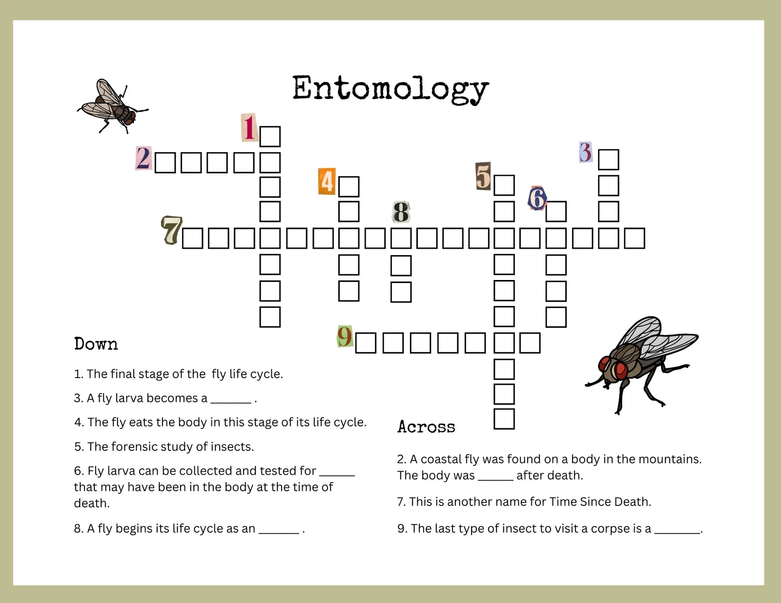 Free And Customizable Crossword Puzzle Templates Canva