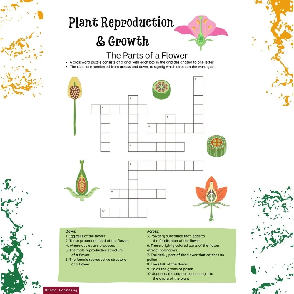 Free Flower Parts Crossword Puzzle Fun Botany Brain Teaser