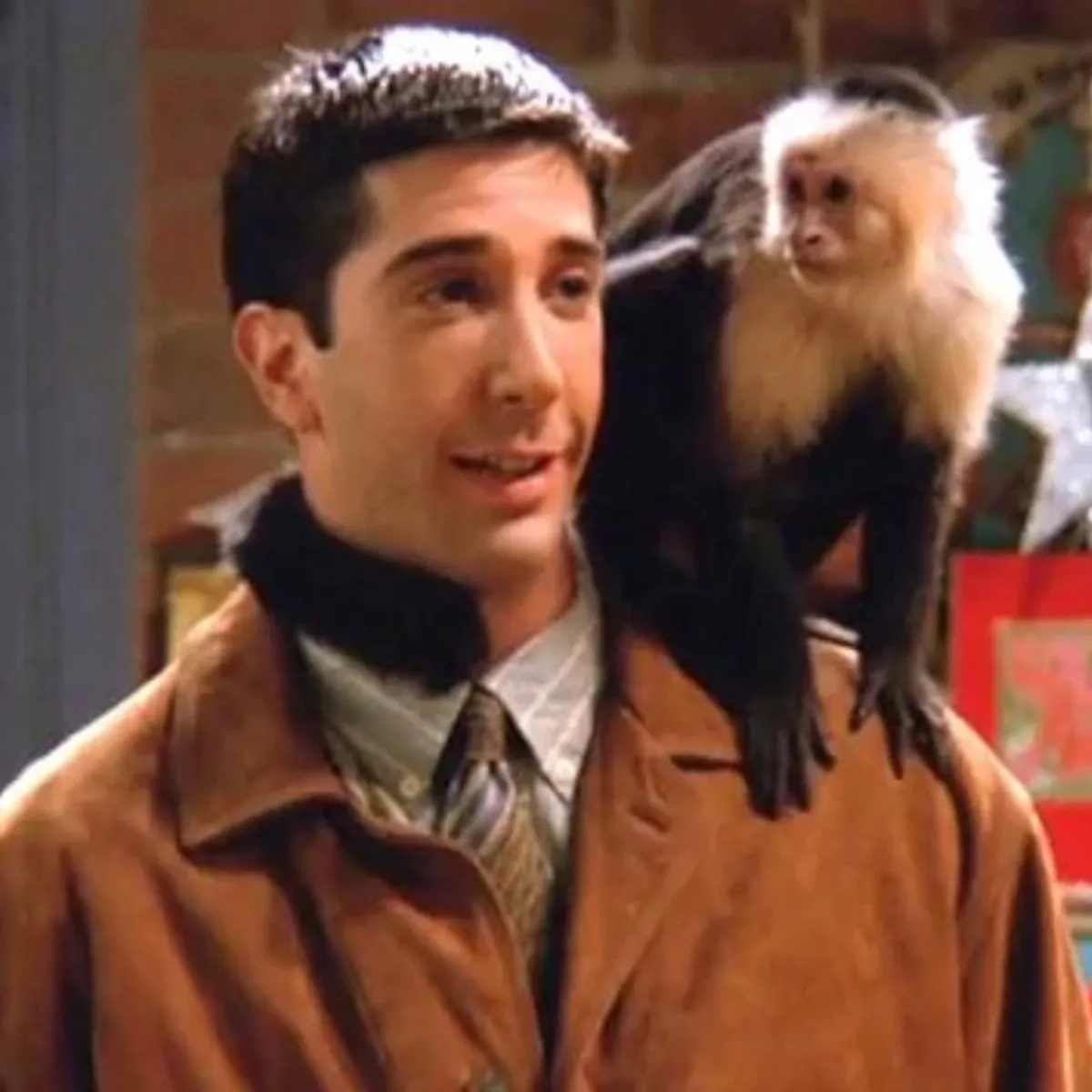 Friends Reunion David Schwimmer Admits Secret Hatred For Marcel The Monkey The Mirror