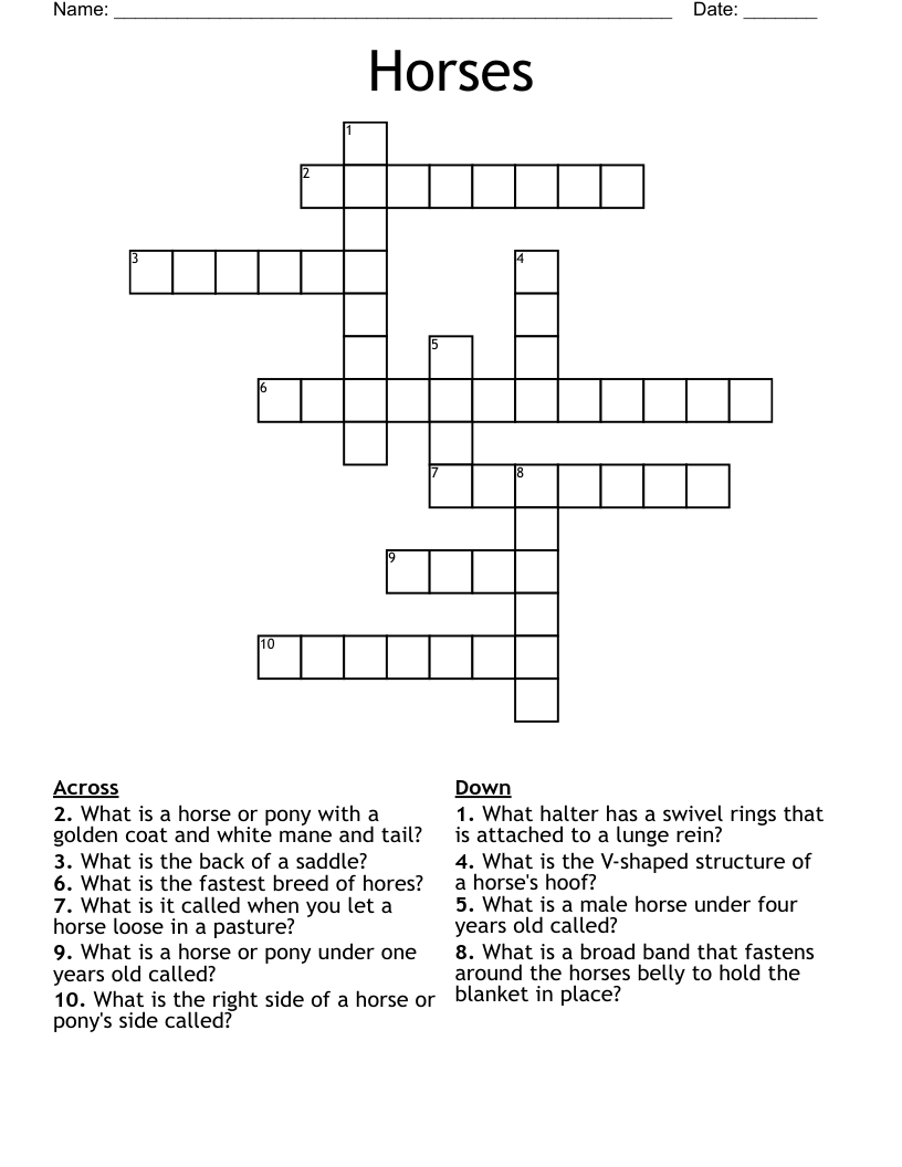 Horse Crossword Puzzle WordMint