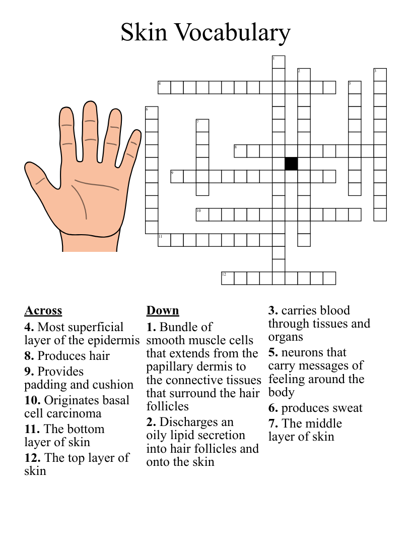 Integumentary System Crossword WordMint