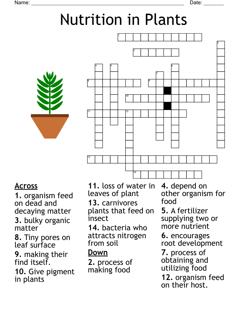 Nutrition In Plants Crossword WordMint