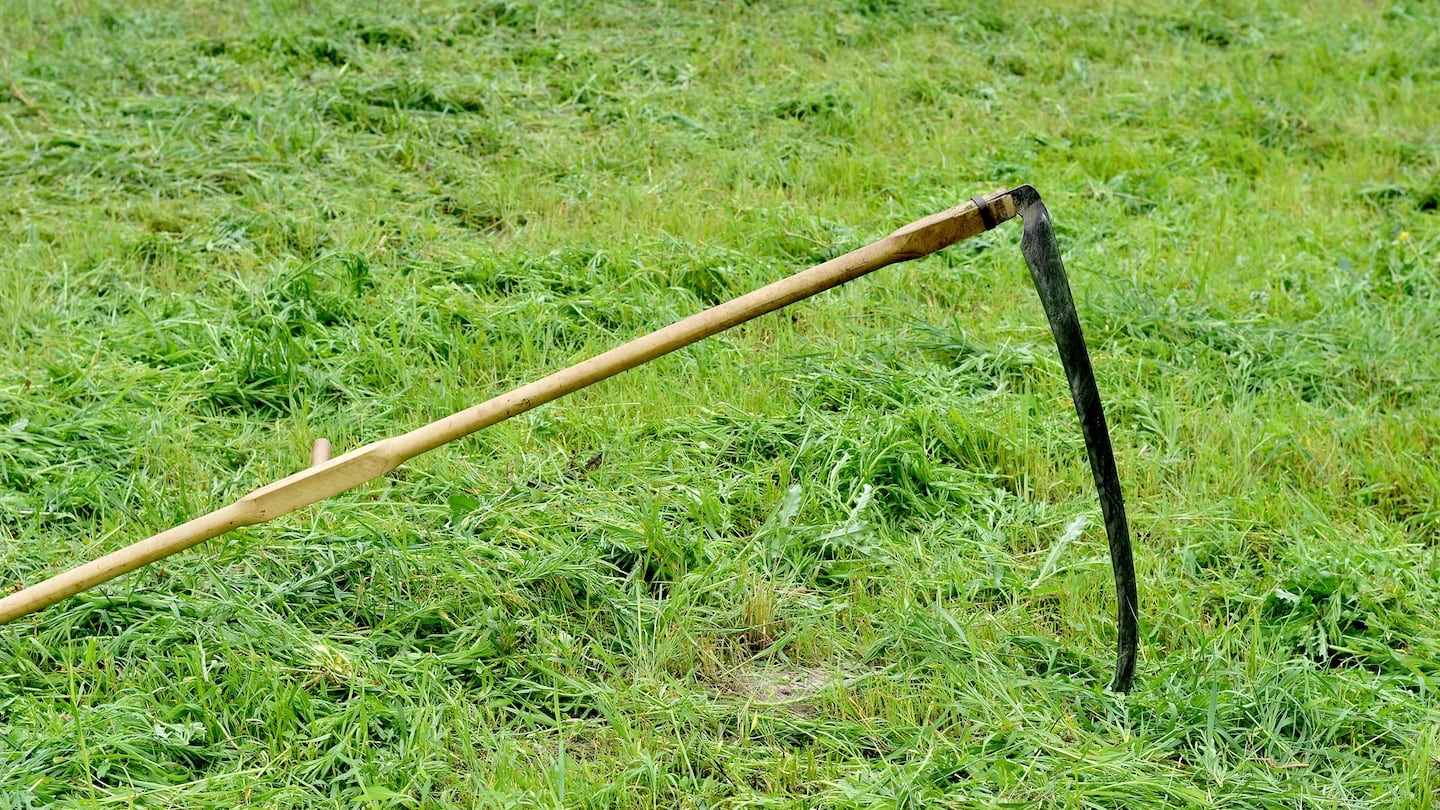 Opinion The Art Of Lawn Mowing With A Scythe