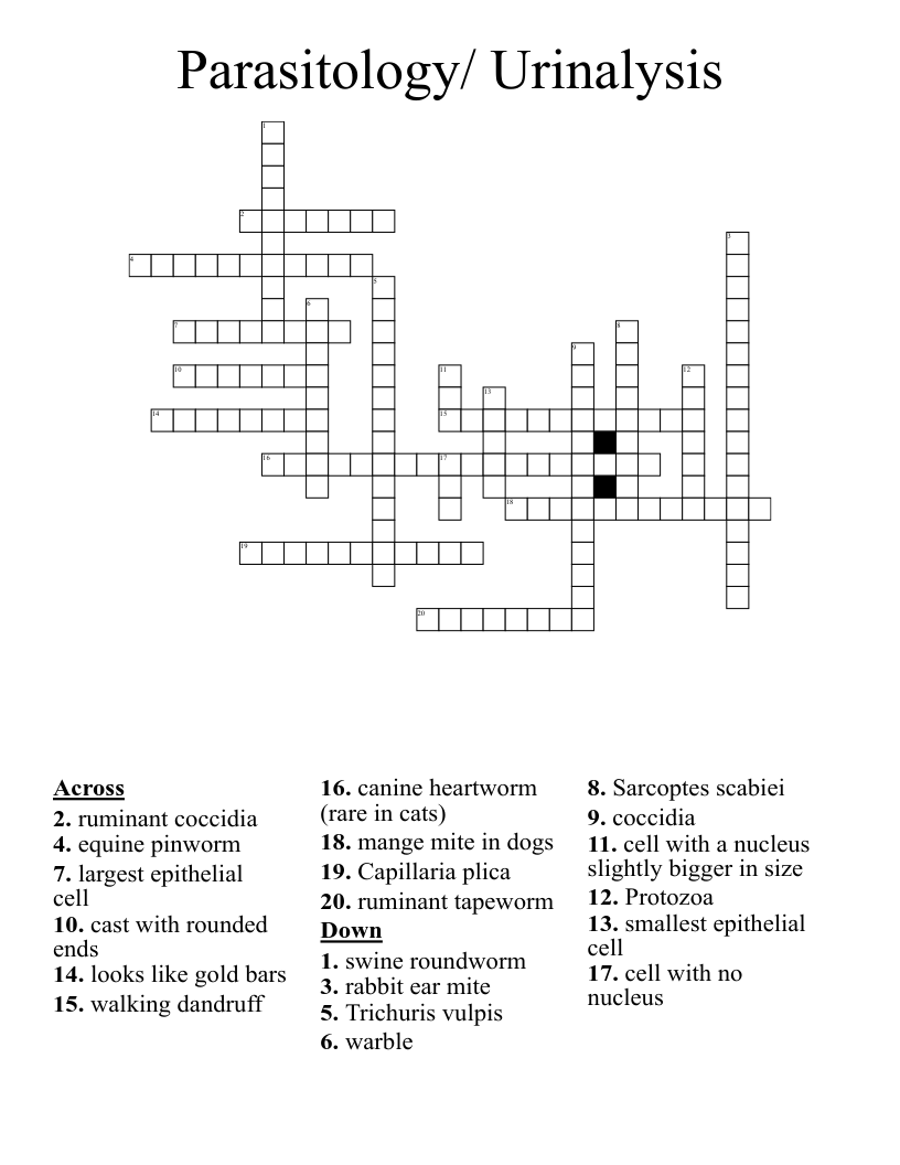 Parasitology Urinalysis Crossword WordMint