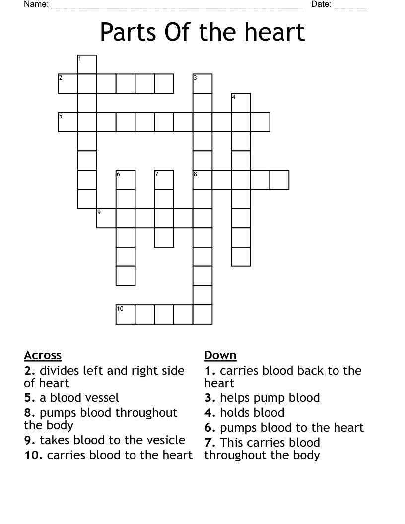 Parts Of The Heart Crossword WordMint