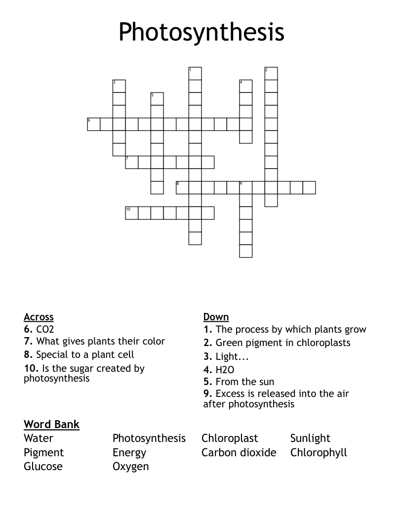 Photosynthesis Crossword WordMint