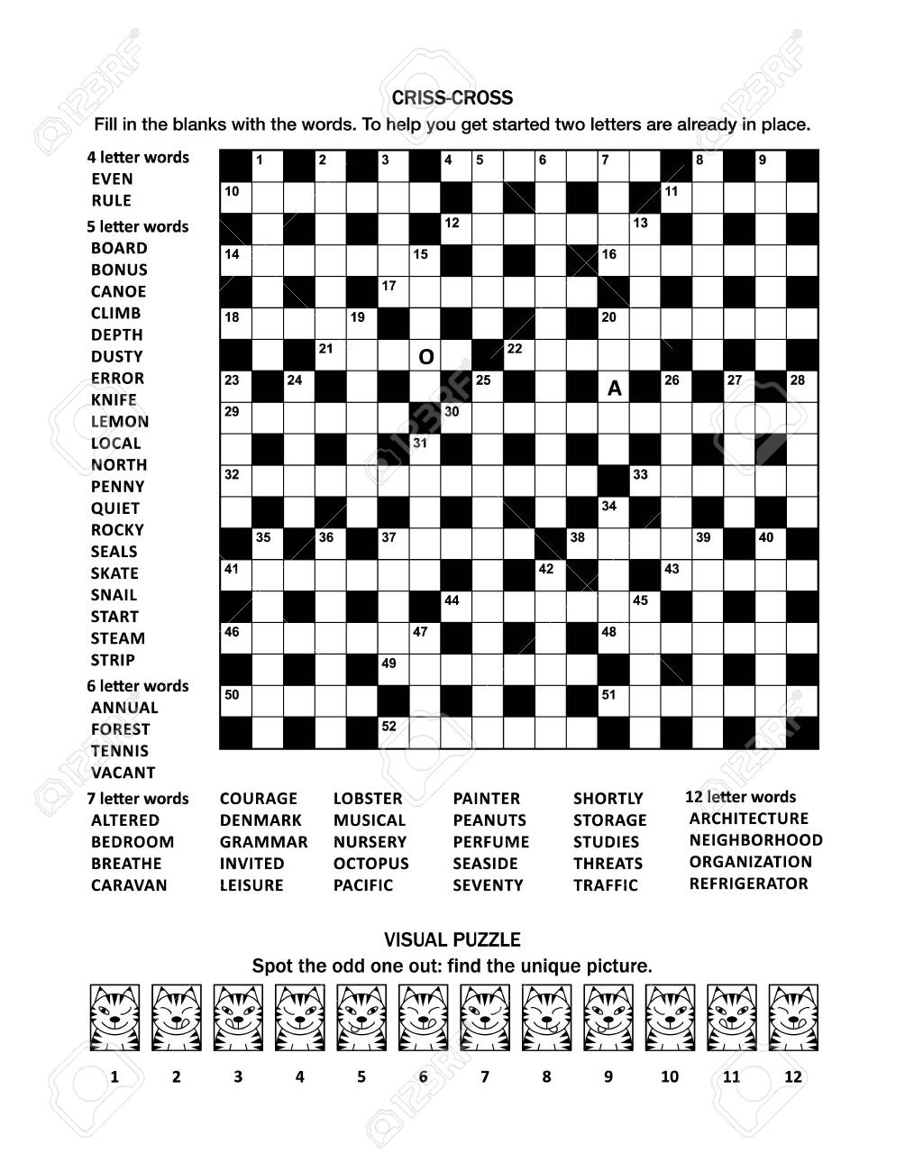 Puzzle Page With 19x19 Criss cross fill in Crossword Word Game English Language And Visual Puzzle With Cats Spot The Odd One Out Find The Unique Picture Royalty Free SVG Cliparts Vectors And Stock