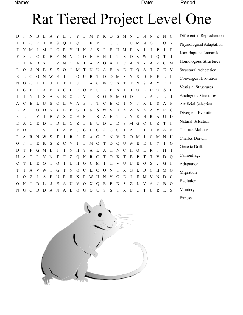 Rats And Rodents Crossword WordMint