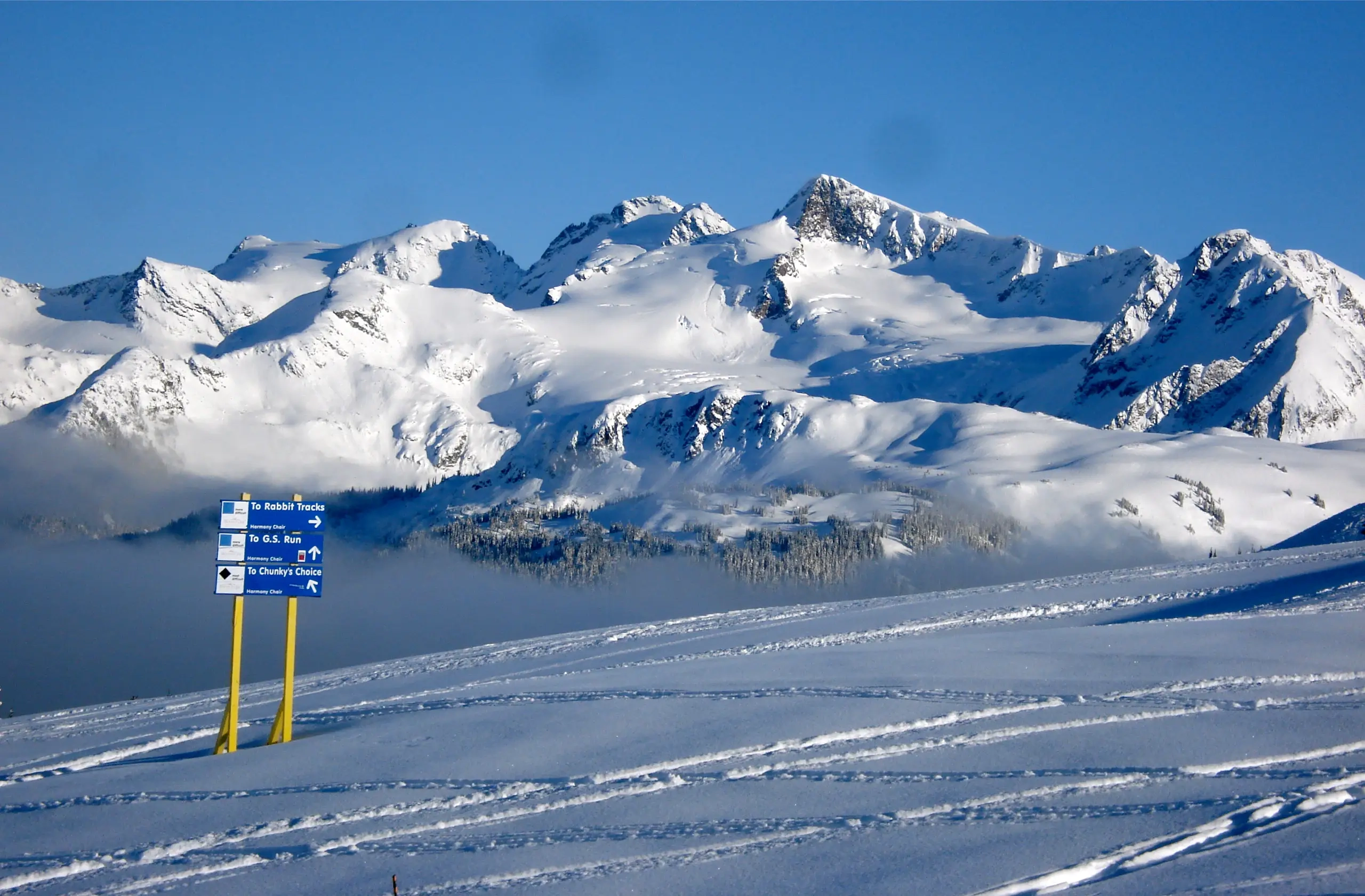 Ski Slope Ratings Explained From Green To Black Diamond Runs POWDER