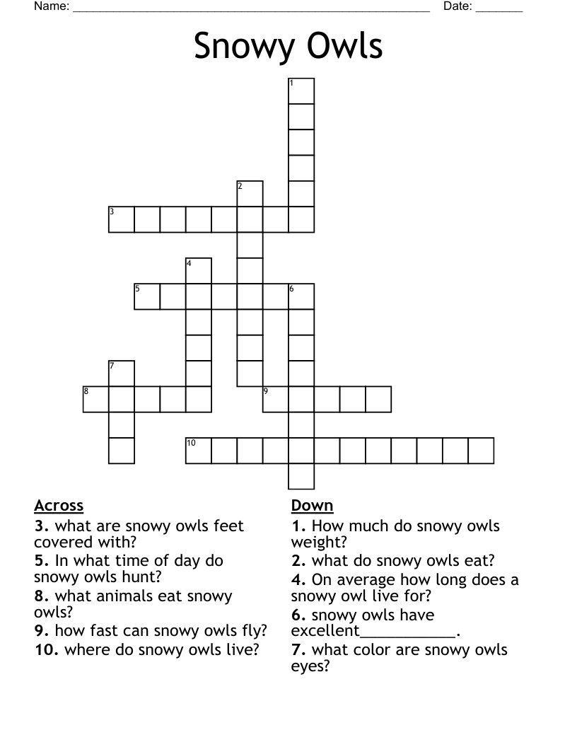 Snowy Owl Crossword WordMint