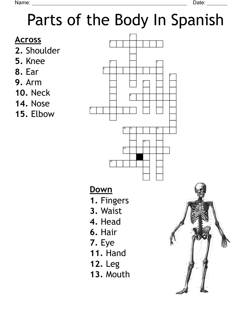 Spanish Crossword WordMint Spanish Crossword WordMint