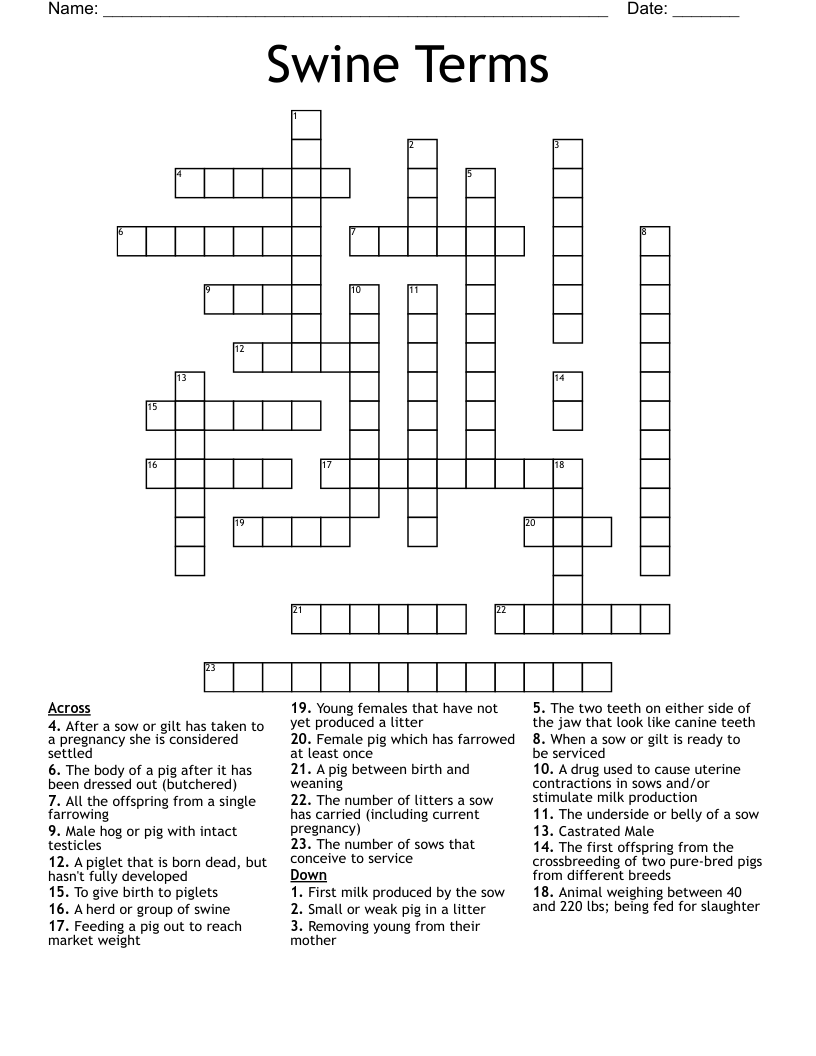 Swine Terms Crossword WordMint Swine Terms Crossword WordMint