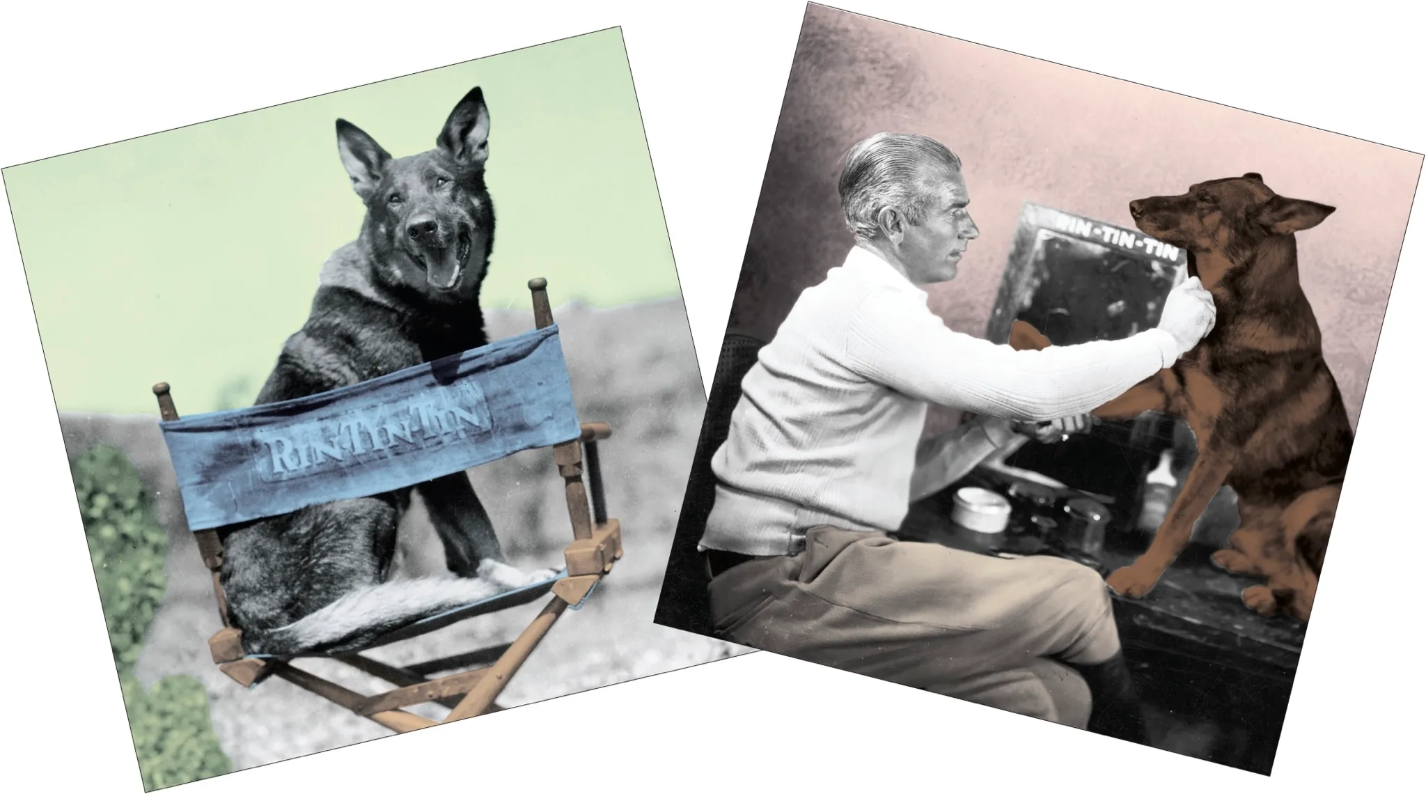 The Dog Star The New Yorker The Dog Star The New Yorker