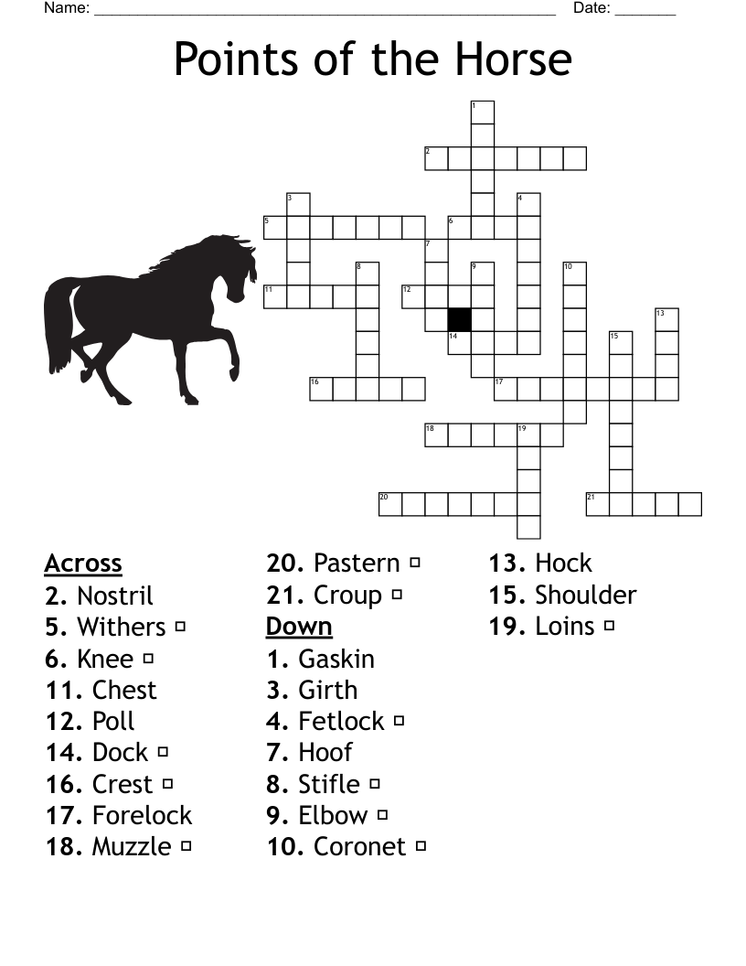 The Study Of The Horse Crossword WordMint