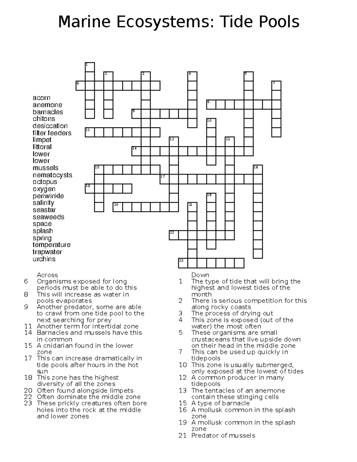 Tide Pool Crossword Puzzle Marine Ecosystems Study Guide Studocu
