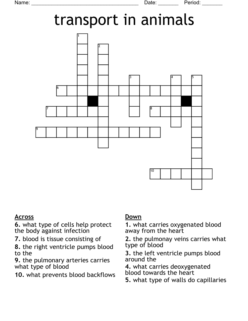 Transport In Animals Crossword WordMint