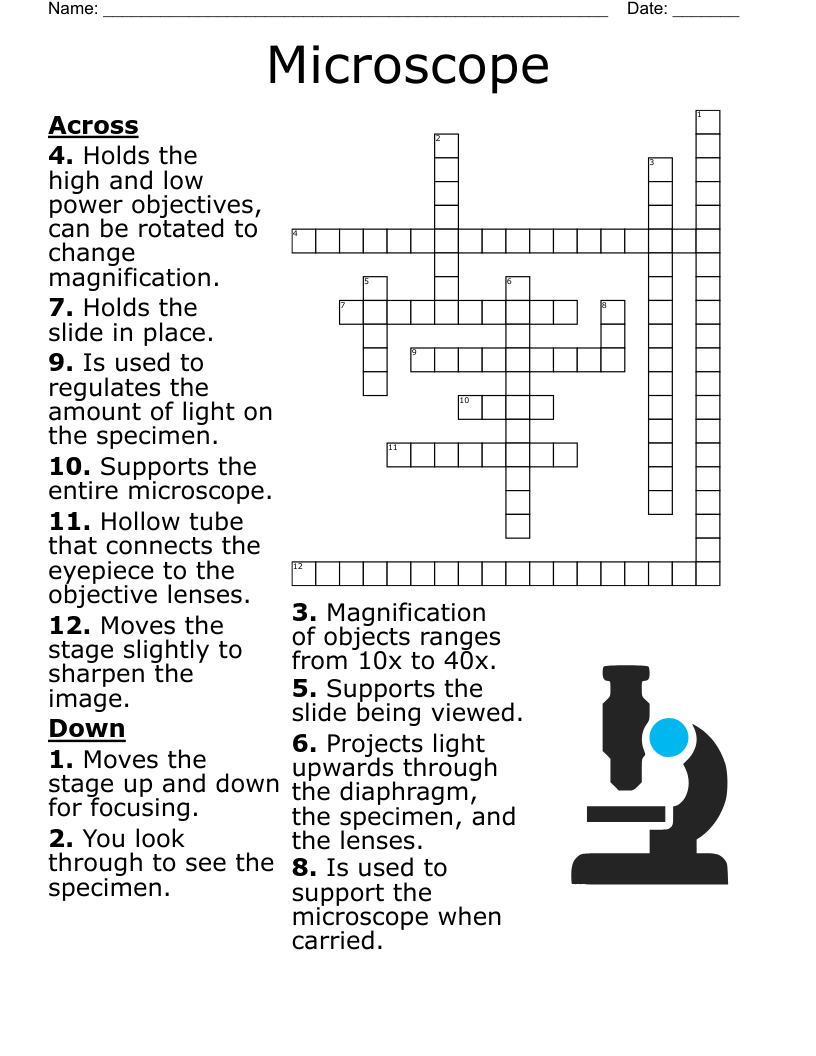 Types Of Lenses Crossword WordMint