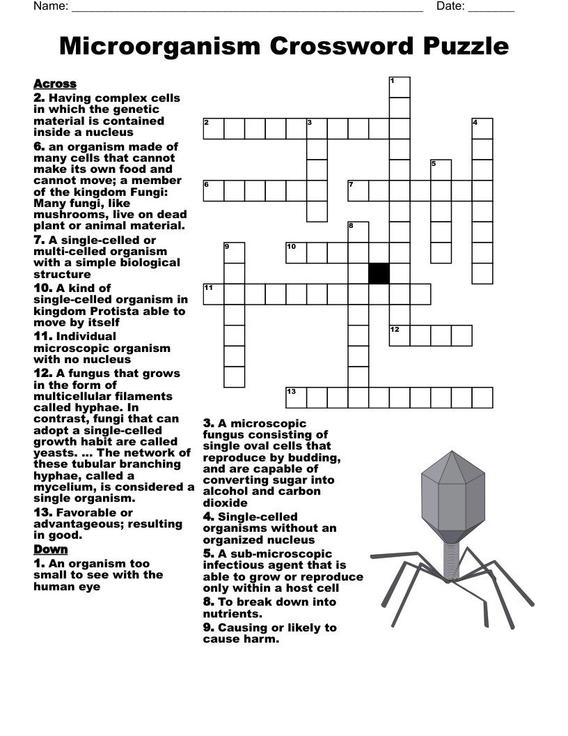 Unicellular Organisms Crossword WordMint