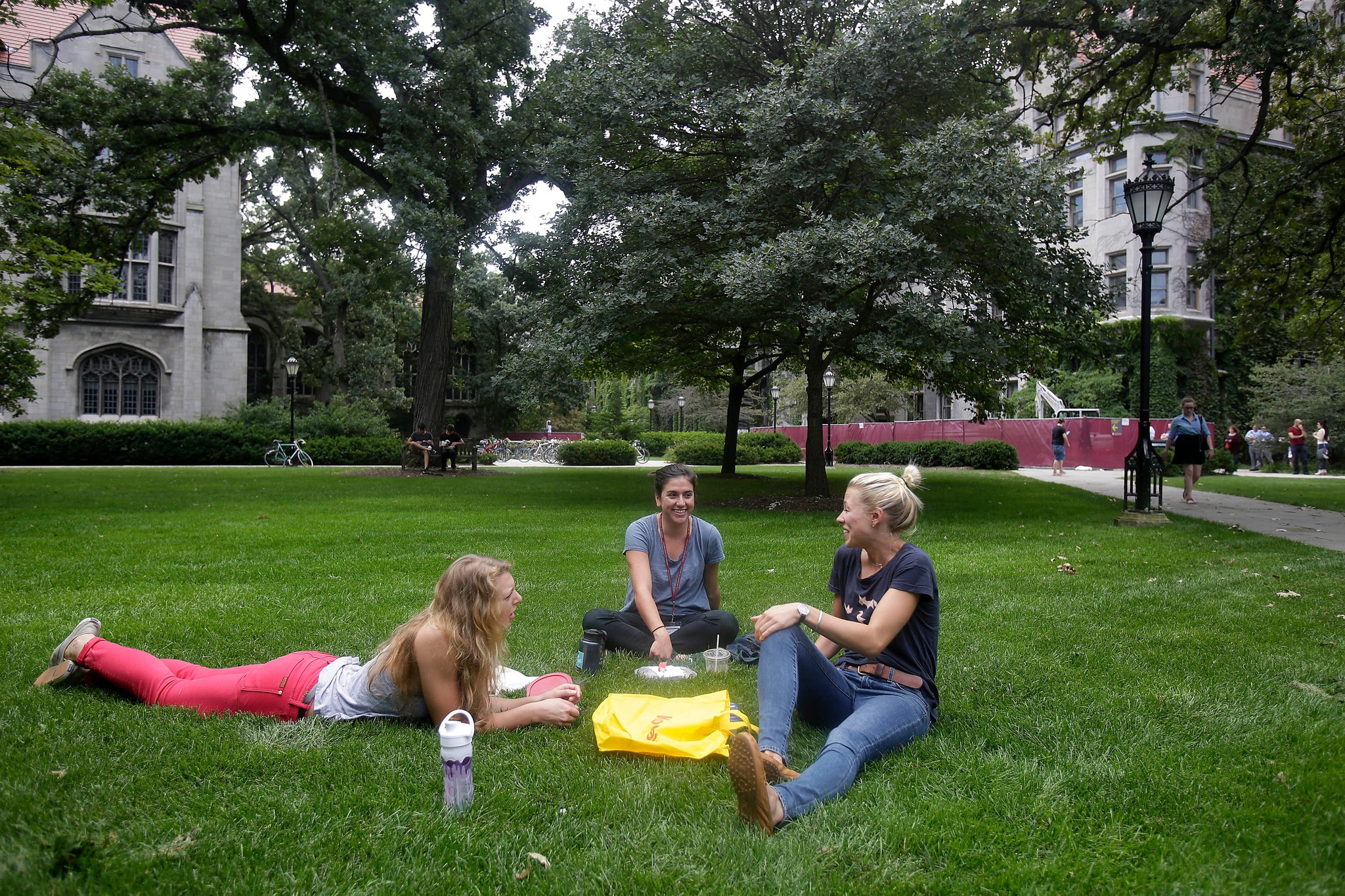 University Of Chicago Strikes Back Against Campus Political Correctness The New York Times