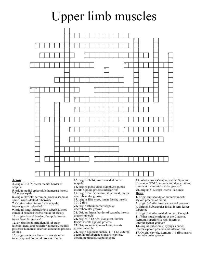 Upper Limb Muscles Crossword WordMint