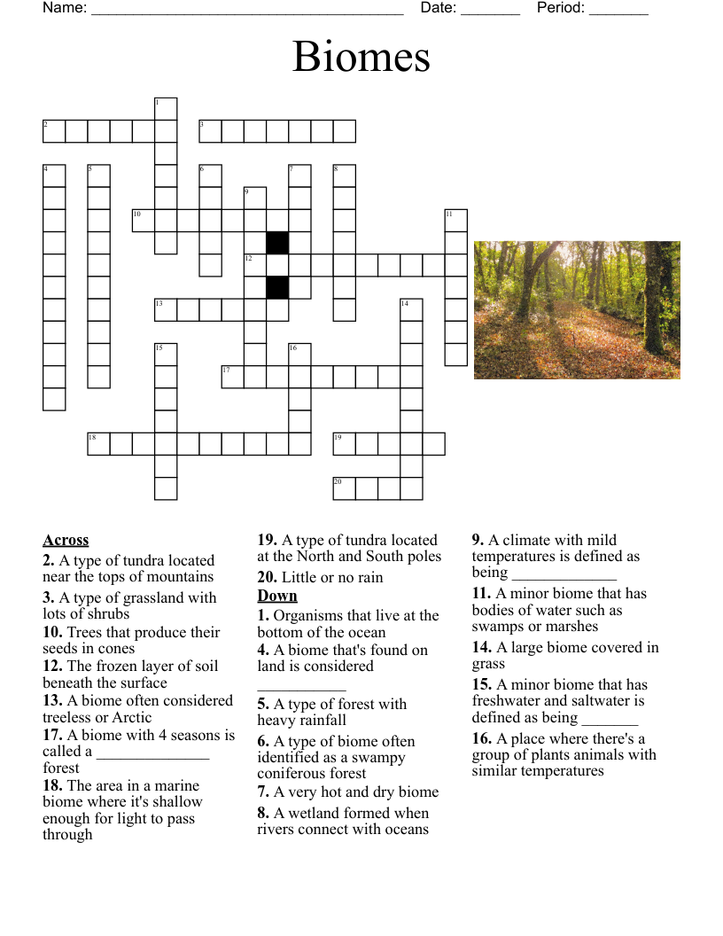 Wetlands Watersheds Ecosystems Crossword WordMint